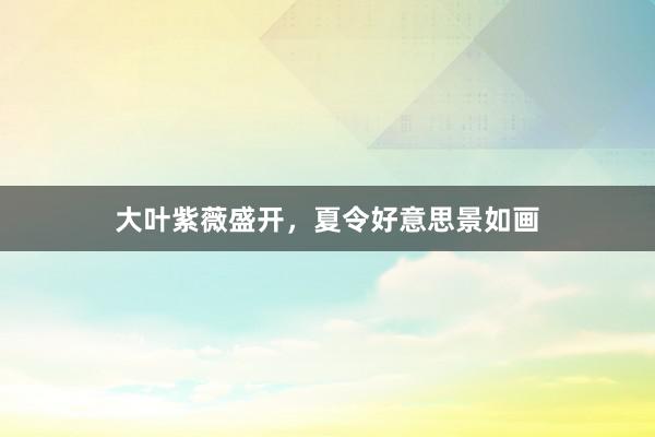 大叶紫薇盛开，夏令好意思景如画