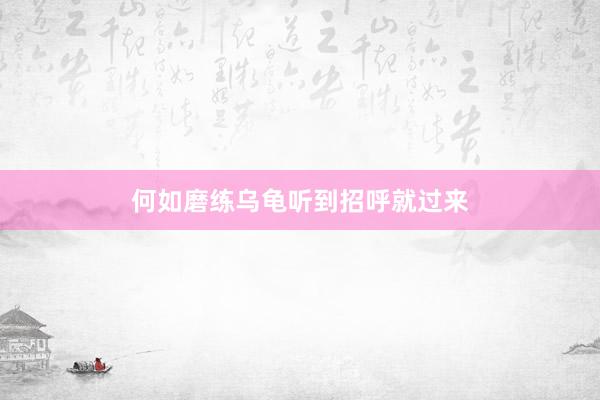 何如磨练乌龟听到招呼就过来