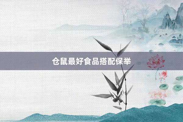 仓鼠最好食品搭配保举